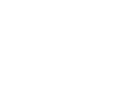 SEDENE