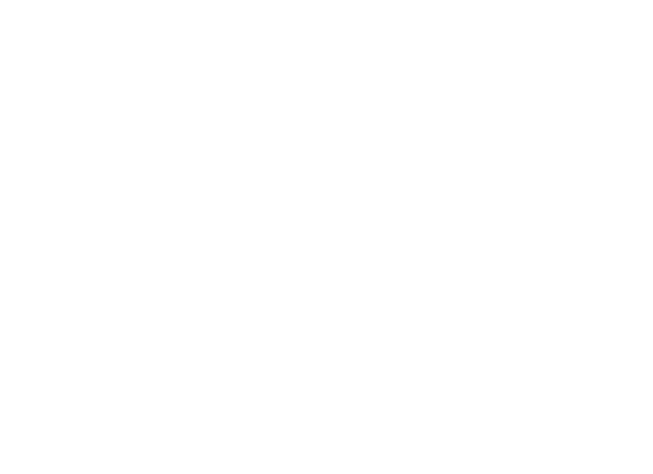 Fallas Valencia (JCF)
